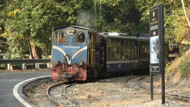 Darjeeling Himalayan Railway records 23.76 pc revenue growth in five years