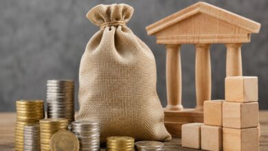 Govt extends credit guarantee scheme for microfinance institutions Govt extends credit guarantee scheme for microfinance institutions