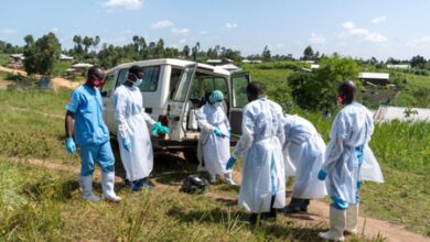 DR Congo Ebola cases rise to 635, recoveries reach 30: Govt