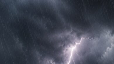 Lightning strikes kill 5 in Bihar’s Khagaria; father-son among victims