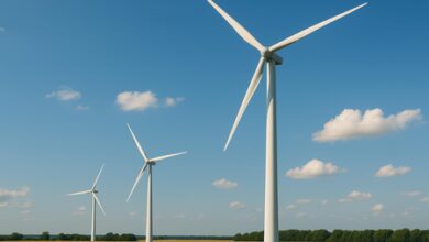 Govt to host Global Wind Day 2026 Conference to accelerate India’s wind energy growth Govt to host Global Wind Day 2026 Conference to accelerate India’s wind energy growth