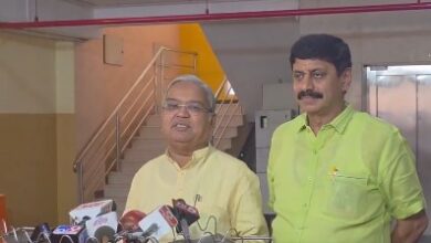 Karnataka govt must not allow privatisation of power sector: BJP