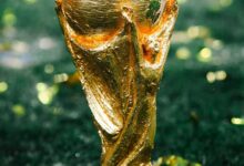 Football fever grips Sikkim as FIFA World Cup captures imagination of fans, says sports official Football fever grips Sikkim as FIFA World Cup captures imagination of fans, says sports official