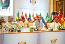 BRICS adopts farmer-centric Indore Declaration: Shivraj Singh Chouhan BRICS adopts farmer-centric Indore Declaration: Shivraj Singh Chouhan