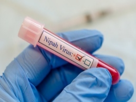 TN’s Nilgiris intensifies border vigil as Nipah concerns emerge in Kerala TN’s Nilgiris intensifies border vigil as Nipah concerns emerge in Kerala