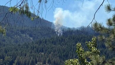 US fighter jet crashes in Washington state: Report