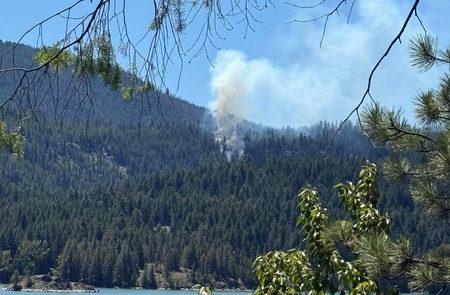 US fighter jet crashes in Washington state: Report
