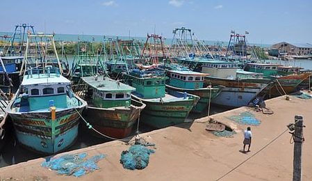 Fishing ban ends today: Over one lakh fishermen in TN prepare to return to sea Fishing ban ends today: Over one lakh fishermen in TN prepare to return to sea