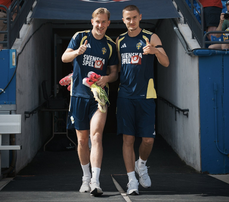 FIFA WC 2026: When and where to watch Sweden vs Tunisia; know all details