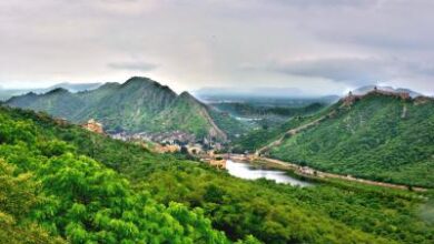 Himachal: Congress govt’s decision to double wildlife parks’ fee sparks political storm Himachal: Congress govt’s decision to double wildlife parks’ fee sparks political storm