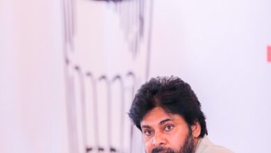 Red sanders smuggling reduced by 70 pc in two years: Pawan Kalyan