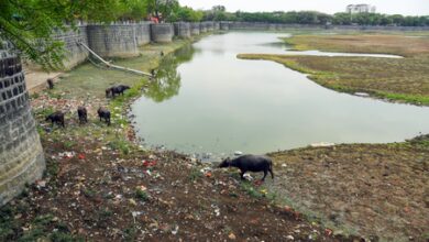 Maharashtra stares at severe drought threat amid blistering heat: Shiv Sena(UBT) in ‘Saamana’ Maharashtra stares at severe drought threat amid blistering heat: Shiv Sena(UBT) in ‘Saamana’