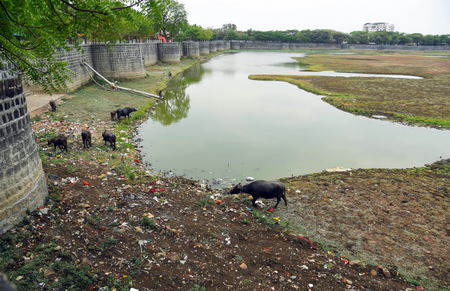 Maharashtra stares at severe drought threat amid blistering heat: Shiv Sena(UBT) in ‘Saamana’ Maharashtra stares at severe drought threat amid blistering heat: Shiv Sena(UBT) in ‘Saamana’