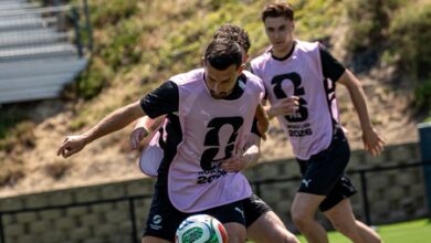 FIFA World cup 2026: When and where to watch Iran vs New Zealand; know all details