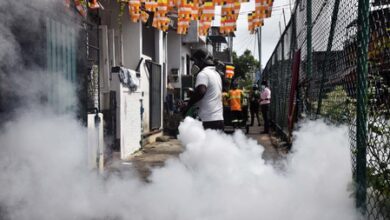 New dengue strain raises infection risk as Sri Lanka launches prevention week New dengue strain raises infection risk as Sri Lanka launches prevention week