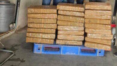 Courier network used for ganja trafficking busted in UP; 124 kg consignment seized, one held