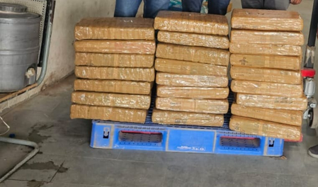 Courier network used for ganja trafficking busted in UP; 124 kg consignment seized, one held Courier network used for ganja trafficking busted in UP; 124 kg consignment seized, one held