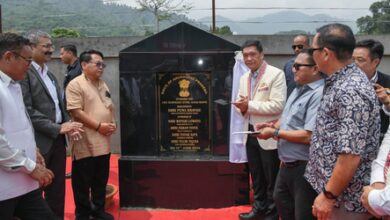 Bamboo is Arunachal’s ‘Green Gold’: CM Khandu Bamboo is Arunachal’s ‘Green Gold’: CM Khandu
