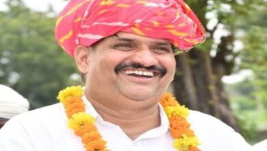 Ex-MLA Kanwarlal Meena moves Rajasthan HC over delay in parole decision Ex-MLA Kanwarlal Meena moves Rajasthan HC over delay in parole decision