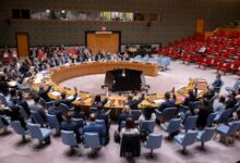 India backs the UNSC move for probes into attacks on peacekeepers