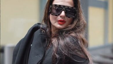 When Ameesha Patel was confronted by the ‘Gadar’ fans