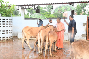 Uttar Pradesh: Cowsheds to become new hubs of rural industry, each district to get unique cow-based identity