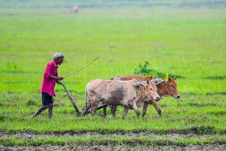 Kisan Sarathi connects nearly 3 crore farmers with digital advisory services