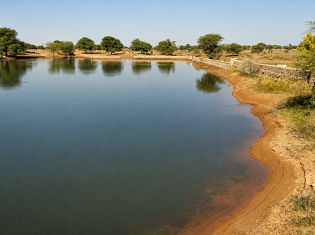 Water turns toxic in Dharam Talab in Rajasthan’s Bhilwara village, local admin alerts villagers prohibiting its use Water turns toxic in Dharam Talab in Rajasthan’s Bhilwara village, local admin alerts villagers prohibiting its use