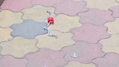 Miscreants hurl two petrol bombs at RSS office in Ranchi; police probe underway Miscreants hurl two petrol bombs at RSS office in Ranchi; police probe underway