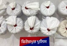 Two modules busted in Punjab; three held, 5.775 kg heroin seized