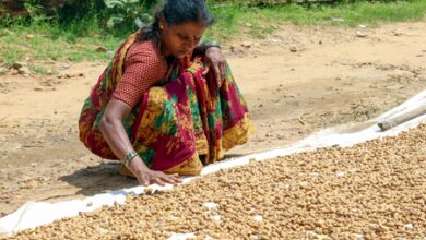 Assam Speaker urges farmers to adopt multiple cropping
