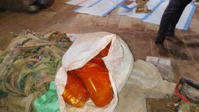 Spice consignment valued at over Rs 1.11 crore seized during inspection in Gujarat Spice consignment valued at over Rs 1.11 crore seized during inspection in Gujarat