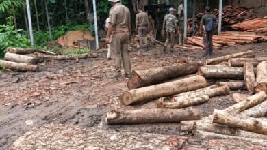 Meghalaya: Illegal timber network busted; Forest dept raids four sawmills Meghalaya: Illegal timber network busted; Forest dept raids four sawmills
