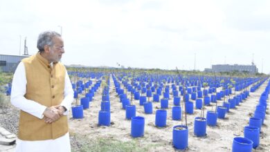 Gujarat minister reviews Dholera green belt project, semiconductor plant progress Gujarat minister reviews Dholera green belt project, semiconductor plant progress
