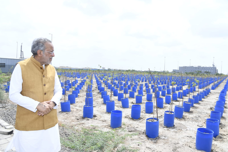 Gujarat minister reviews Dholera green belt project, semiconductor plant progress Gujarat minister reviews Dholera green belt project, semiconductor plant progress