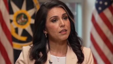 Tulsi Gabbard releases declassified documents alleging Fauci influenced Covid origin assessments
