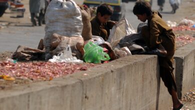 More than 6.6 million children engaged in hazardous labour in Pakistan: Report More than 6.6 million children engaged in hazardous labour in Pakistan: Report