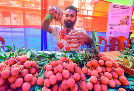 Uttarakhand’s premium litchi enters European market, 1st consignment on way to Italy