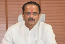Gujarat: MSP procurement crosses Rs 65,000 crore in decade, benefiting nearly 49 lakh farmers Gujarat: MSP procurement crosses Rs 65,000 crore in decade, benefiting nearly 49 lakh farmers
