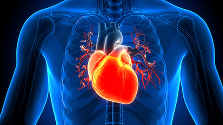 Probe uncovers cardiac procedure ‘scam’ at govt medical college in J&K’s Anantnag