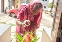PMAY-U 2.0: 38,000 families perform grih pravesh in Madhya Pradesh PMAY-U 2.0: 38,000 families perform grih pravesh in Madhya Pradesh