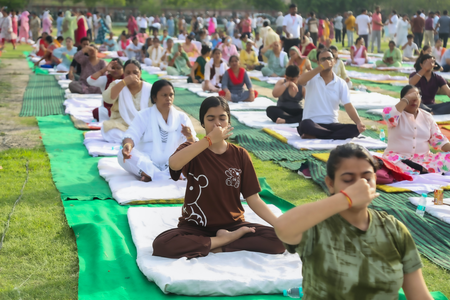 International Yoga Day: Leaders say yoga, Ayurveda generated employment International Yoga Day: Leaders say yoga, Ayurveda generated employment