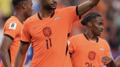 FIFA WC 2026: Gakpo, Brobbey hit double each as Netherlands crush Sweden 5-1 FIFA WC 2026: Gakpo, Brobbey hit double each as Netherlands crush Sweden 5-1