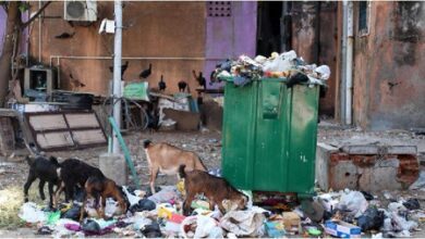 TN plans fresh PPP model for waste management in 12 corporations; workers raise privatisation concerns