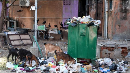 TN plans fresh PPP model for waste management in 12 corporations; workers raise privatisation concerns TN plans fresh PPP model for waste management in 12 corporations; workers raise privatisation concerns