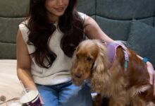 Rashmika Mandanna drops some tiny moments of happiness with her fur baby Aura Rashmika Mandanna drops some tiny moments of happiness with her fur baby Aura