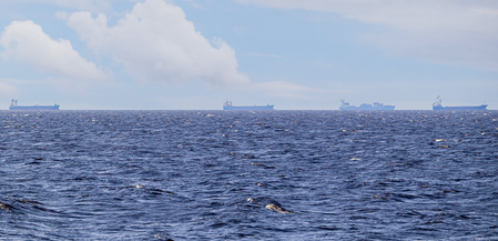 IMO announces evacuation plan for seafarers in Strait of Hormuz