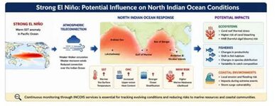 El Nino may result in reduced fish catch along Indian coast: INCOIS