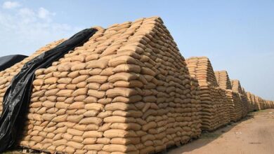 Fine paddy prices surge as supply tightens in Tamil Nadu Fine paddy prices surge as supply tightens in Tamil Nadu