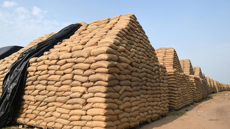 Fine paddy prices surge as supply tightens in Tamil Nadu Fine paddy prices surge as supply tightens in Tamil Nadu